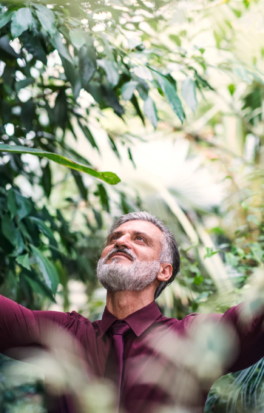 Sustentabilidad - Impulsamos un desarrollo económico sostenible - Imagen Impulsamos Un Desarrollo Económico Sostenible