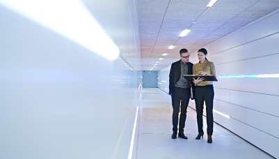 (COBEX) Garantías Estatales